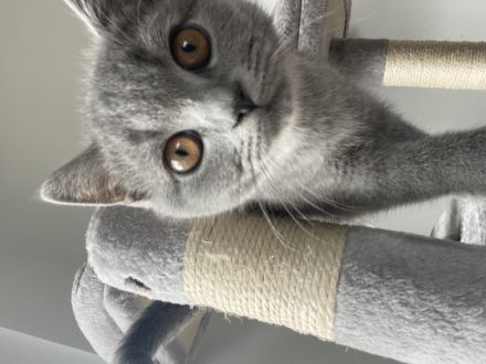 Hallo zusammen. Leider müssen wir uns schweren Herzens