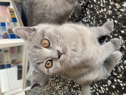 Hallo zusammen. Leider müssen wir uns schweren Herzens