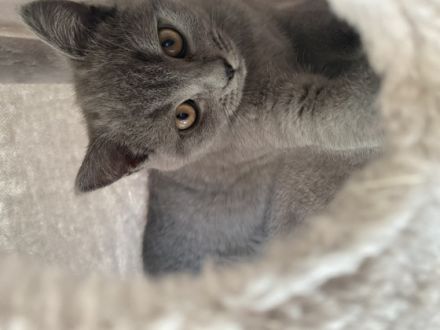 Hallo zusammen. Leider müssen wir uns schweren Herzens