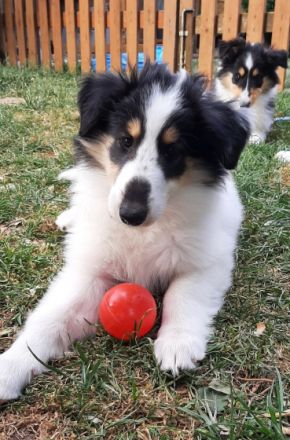 Wir haben in der Nacht vom 23.auf den 24. Mai von