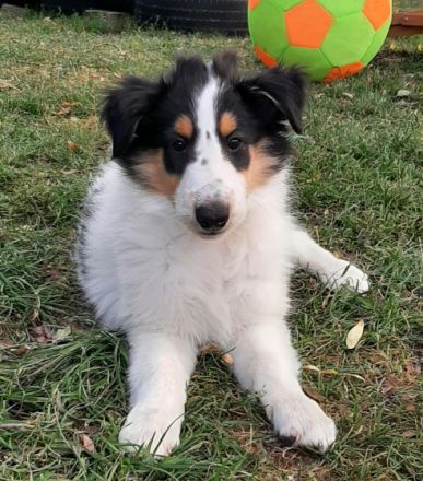 Wir haben in der Nacht vom 23.auf den 24. Mai von