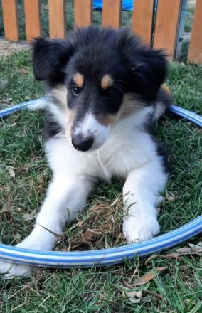 Wir haben in der Nacht vom 23.auf den 24. Mai von