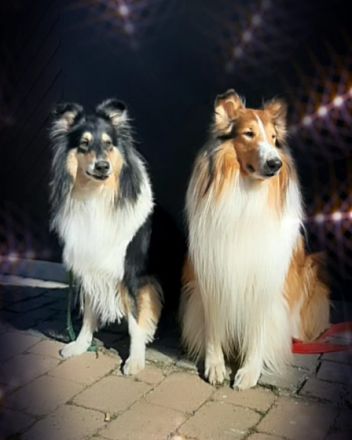 Wir haben in der Nacht vom 23.auf den 24. Mai von