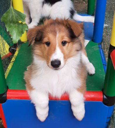 Wir haben in der Nacht vom 23.auf den 24. Mai von