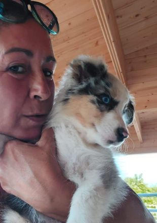 Unser ASCA Aussie Welpen Wurf ist am 17.04.2022 zur