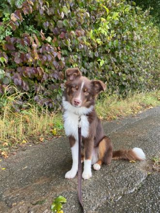 Nicht geplant und doch passiert, Kinder der Liebe. 1