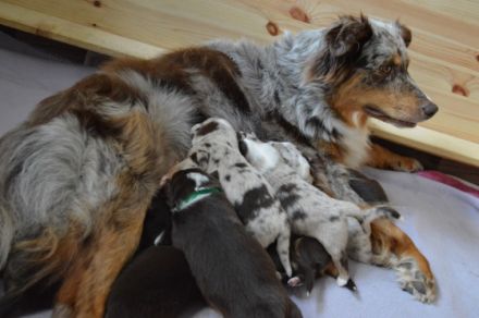 Nicht geplant und doch passiert, Kinder der Liebe. 1