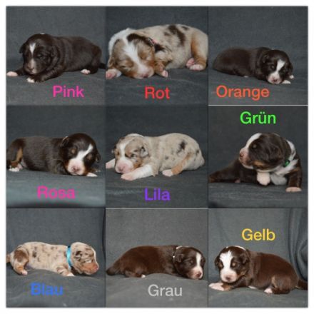 Nicht geplant und doch passiert, Kinder der Liebe. 1