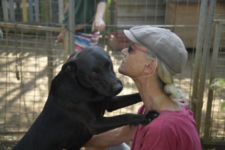 Billy-baut gerne Sandburgen, braucht dabei aber einen sicheren Partner an seiner Seite