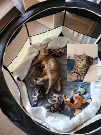 Schönen guten Tag, unsere Damen haben Nachwuchs