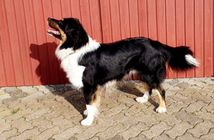 HOT'N SPICY'S SUMMERJAM AIDEN