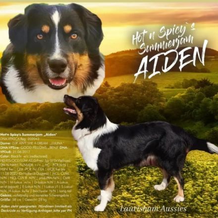 HOT'N SPICY'S SUMMERJAM AIDEN