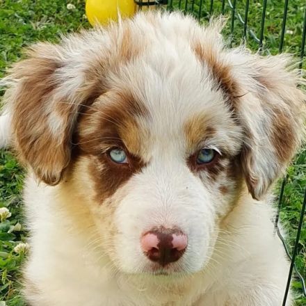 HOT'N SPICY'S SUMMERJAM AIDEN