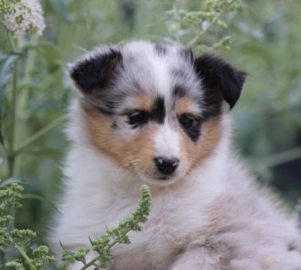 Am 28. Mai 2022 sind diese beide Herren in den frühen