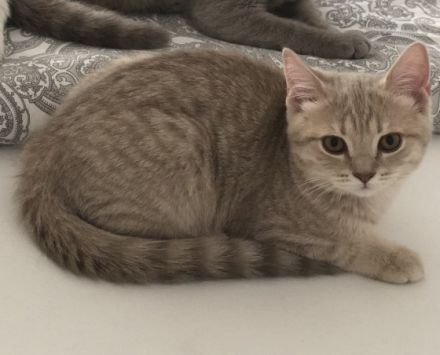 Hallo zusammen , leider und und mit gebrochenem Herz