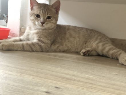 Hallo zusammen , leider und und mit gebrochenem Herz