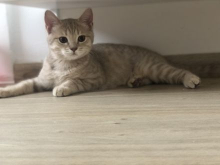 Hallo zusammen , leider und und mit gebrochenem Herz