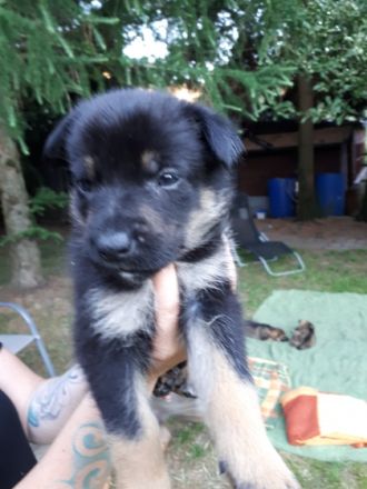 Die Vizemeisterin der IFH 2021, Dasha von der