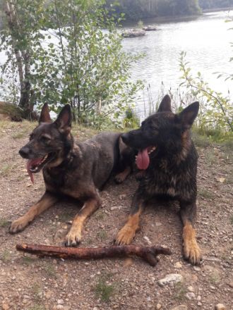 Die Vizemeisterin der IFH 2021, Dasha von der