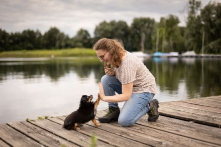 Hundeschule Pack Love