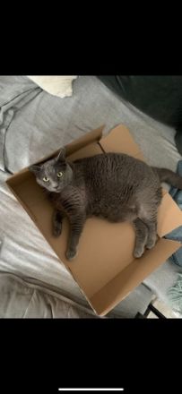 Ole und Mia, Es fällt mir schwer, diesen Text zu