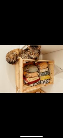 Ole und Mia, Es fällt mir schwer, diesen Text zu