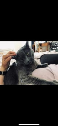 Ole und Mia, Es fällt mir schwer, diesen Text zu