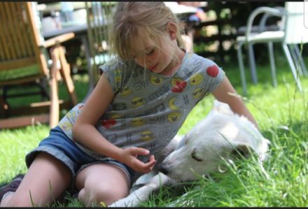 Hallo, hier sucht die Fellnase Polar nach seiner