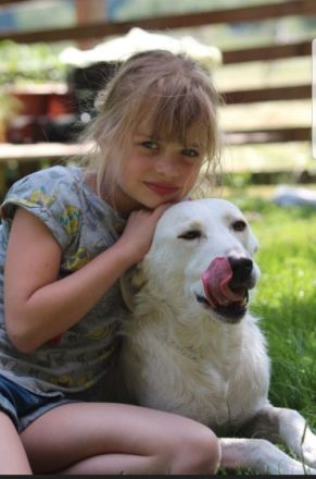 Hallo, hier sucht die Fellnase Polar nach seiner