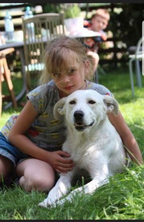 Hallo, hier sucht die Fellnase Polar nach seiner