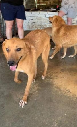 Nanachi, NANACHI Lebenslustige Frohnatur Alter: 1.4.21