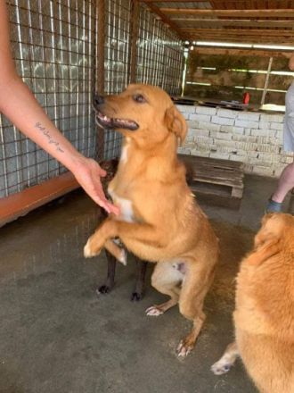 Nanachi, NANACHI Lebenslustige Frohnatur Alter: 1.4.21