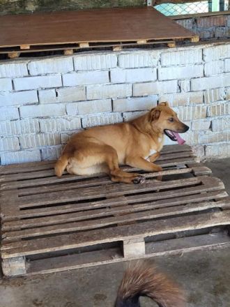 Nanachi, NANACHI Lebenslustige Frohnatur Alter: 1.4.21