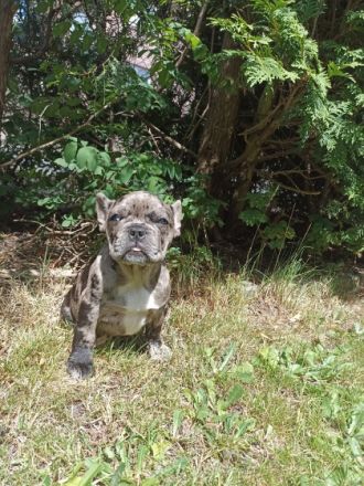 Unsere Ara hat uns am 07.04.22 ganz wundervolle