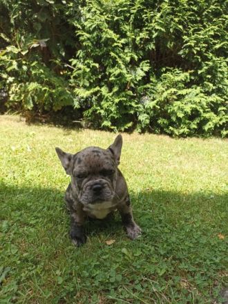 Unsere Ara hat uns am 07.04.22 ganz wundervolle