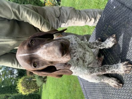 Zuchtgemeinschaft Slatinska (Tschechische Republik)