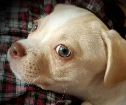 Paul und Ben sind Brüder und ergänzen sich wunderbar.