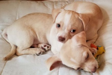 Paul und Ben sind Brüder und ergänzen sich wunderbar.