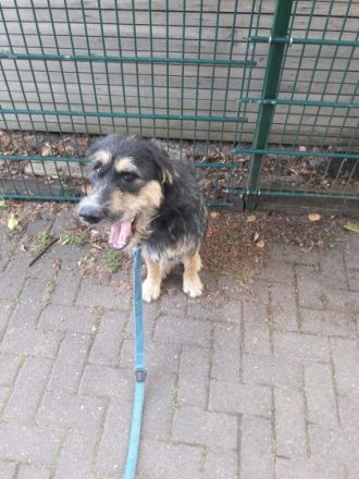 Rudi geb. 01.10.2021 ca 50 cm hatte Anfang März eine