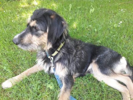 Rudi geb. 01.10.2021 ca 50 cm hatte Anfang März eine