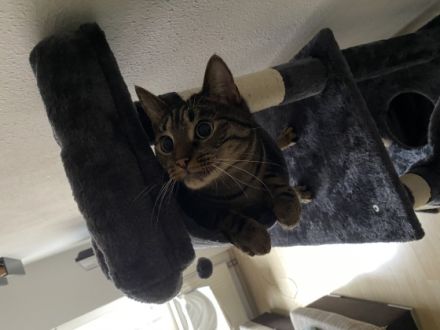 Mobbie und Finn, Aus persönlichen Gründen müssen wir