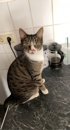 Mobbie und Finn, Aus persönlichen Gründen müssen wir