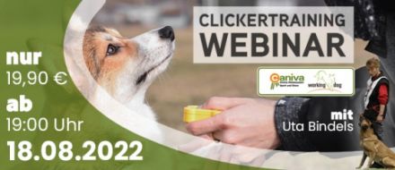 WEBINAR (online) - Clickertraining für Hundesport und Erziehung