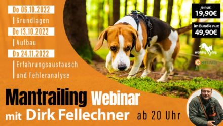 WEBINAR-Reihe (online) - Mantrailing mit Dirk Fellechner