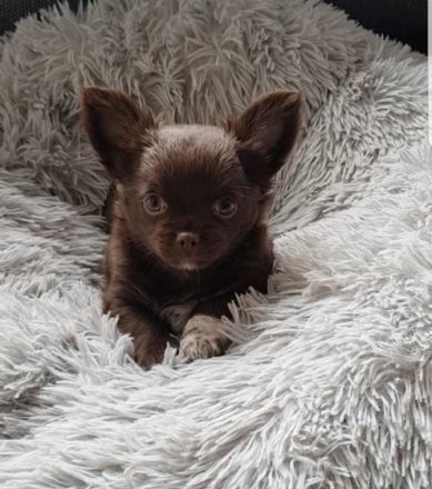 Am 2.06.22 haben unsere kleinen Diamanten problemlos