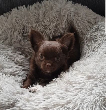 Am 2.06.22 haben unsere kleinen Diamanten problemlos