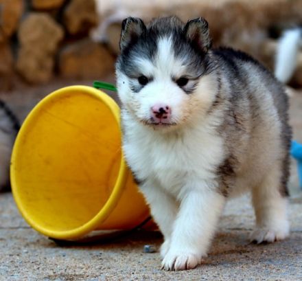 Ab 16.Aug haben wir aus dieser vorzüglichen Verbindung