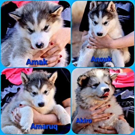 Ab 16.Aug haben wir aus dieser vorzüglichen Verbindung