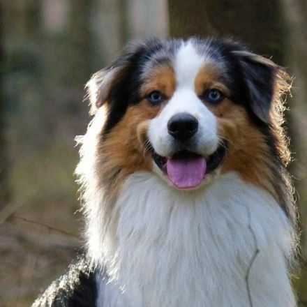 Wir freuen uns sehr, unsere süße Rasselbande (5