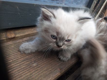 Der letzte Bub wartet noch auf sein Personal. Meine